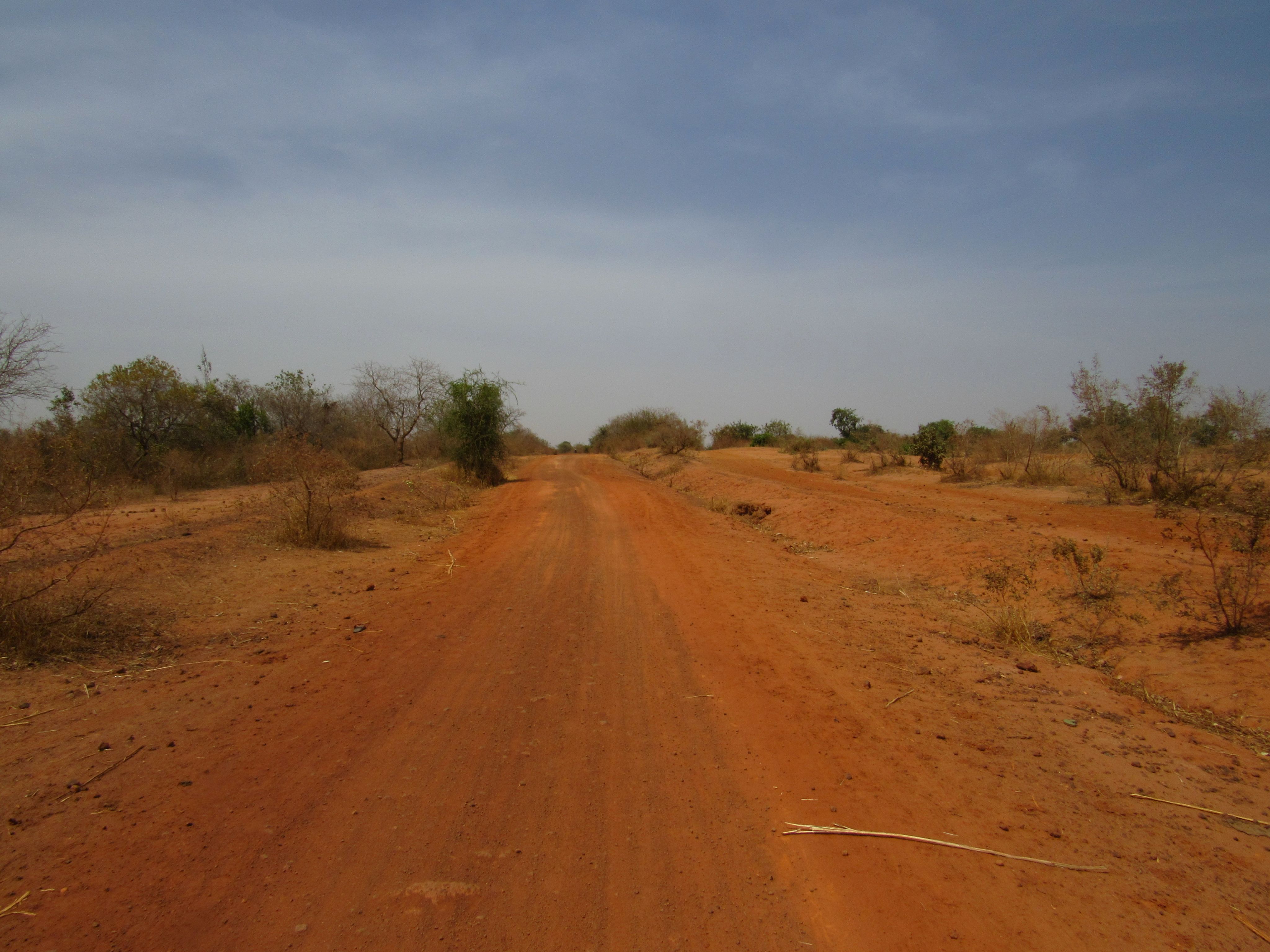Landscape with trees and red dirt road
