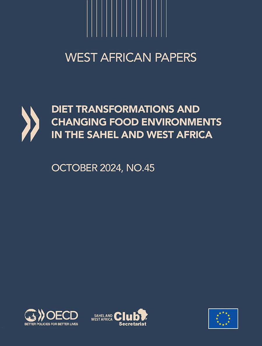 Photo of the book on Borders and Conflict in North and West Africa